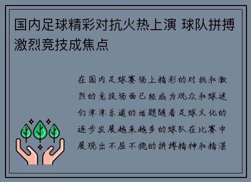 国内足球精彩对抗火热上演 球队拼搏激烈竞技成焦点